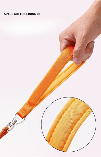 Professional Climbing Rope Slip Dog Leash
