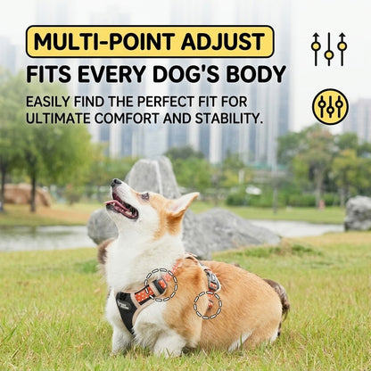 Reflective Mesh Harness & Leash Set