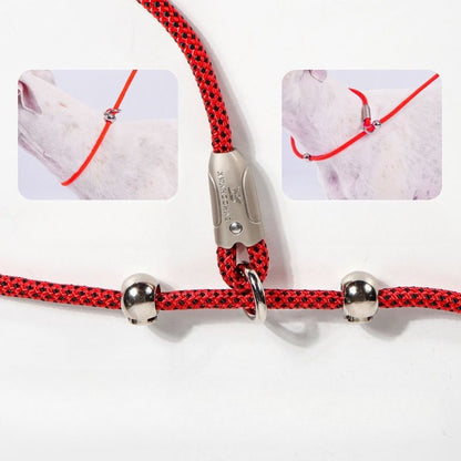 Braided Training Leash for Dogs – Multi