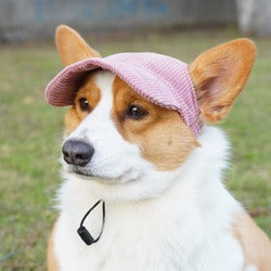 Corduroy Dog Hat