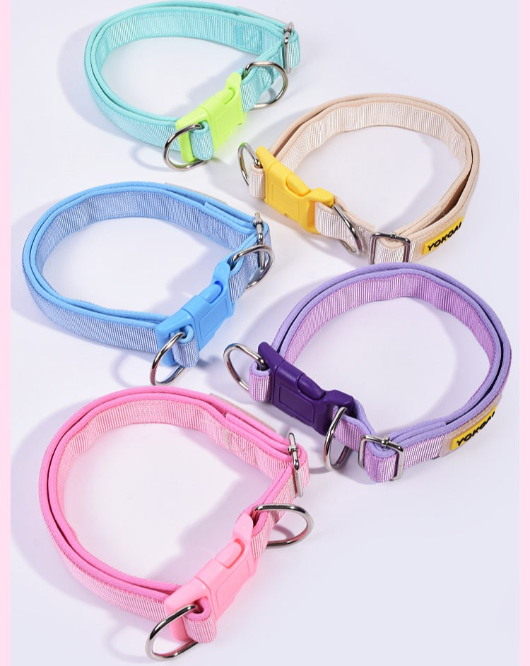 Padded Solid Dog Collar for Dogs – Pink