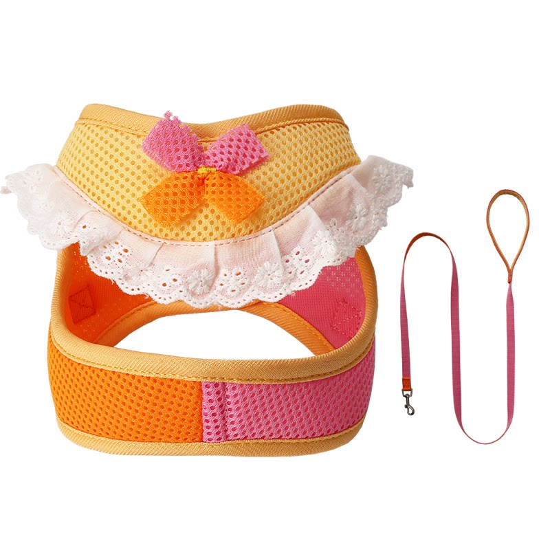 Lace Mesh Harness & Leash Set