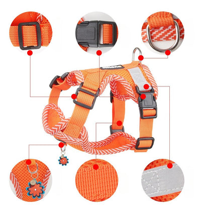 Reflective Mesh Harness & Leash Set