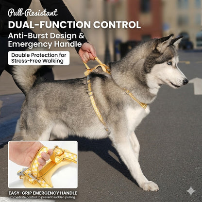 Checkerboard Reflective Dog Harness