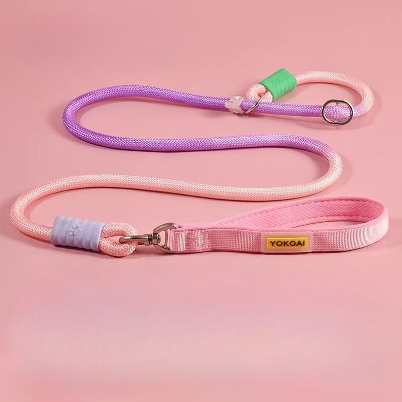Gradient Slip Lead Dog Leash for Dogs – Blue