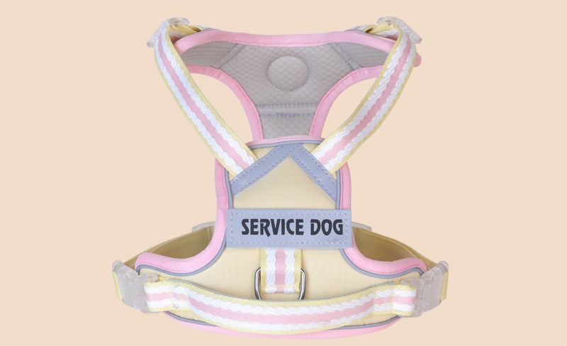 Breathable Mesh Harness & Leash Set