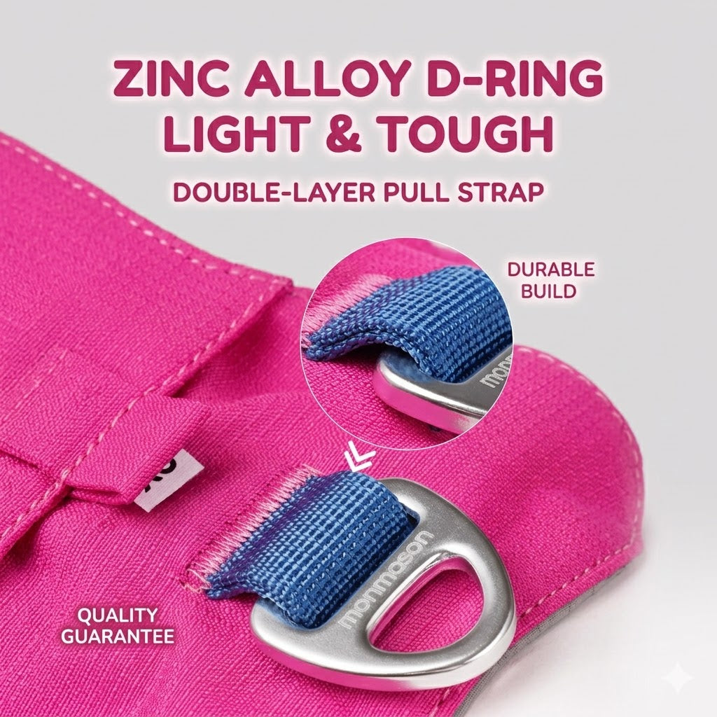 Lightweight Breathable Harness & Leash Set