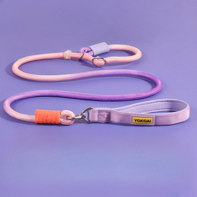 Gradient Slip Lead Dog Leash for Dogs – Blue