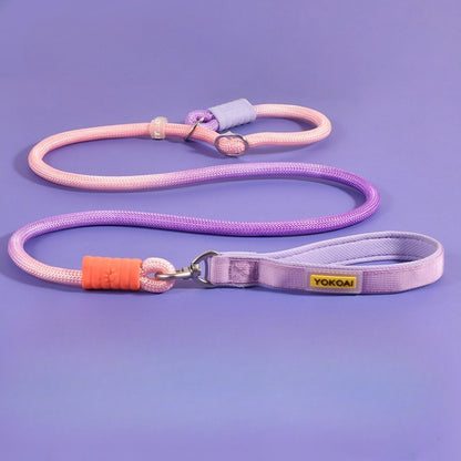 Gradient Slip Lead Dog Leash for Dogs – Blue
