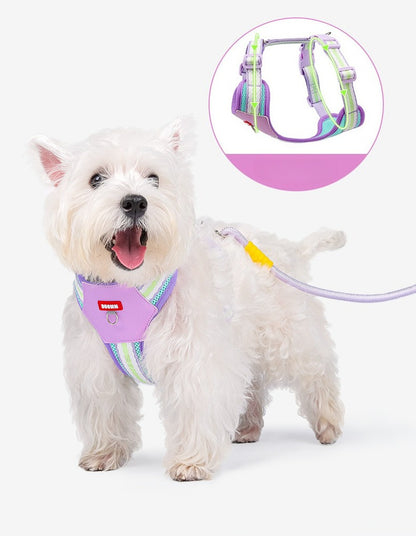 Breathable Mesh Harness & Leash Set