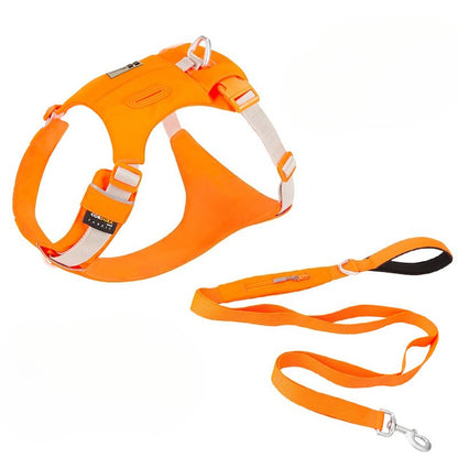 Hidden Pocket Harness & Leash Set