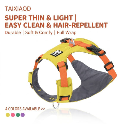 Lightweight Harness & Leash Set