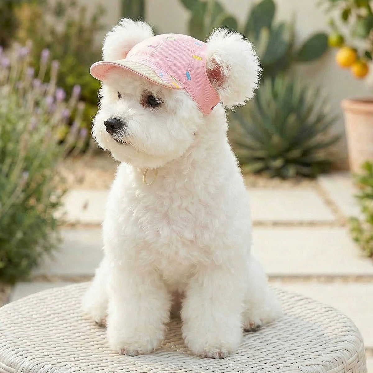 Adjustable Outdoor Dog Hat