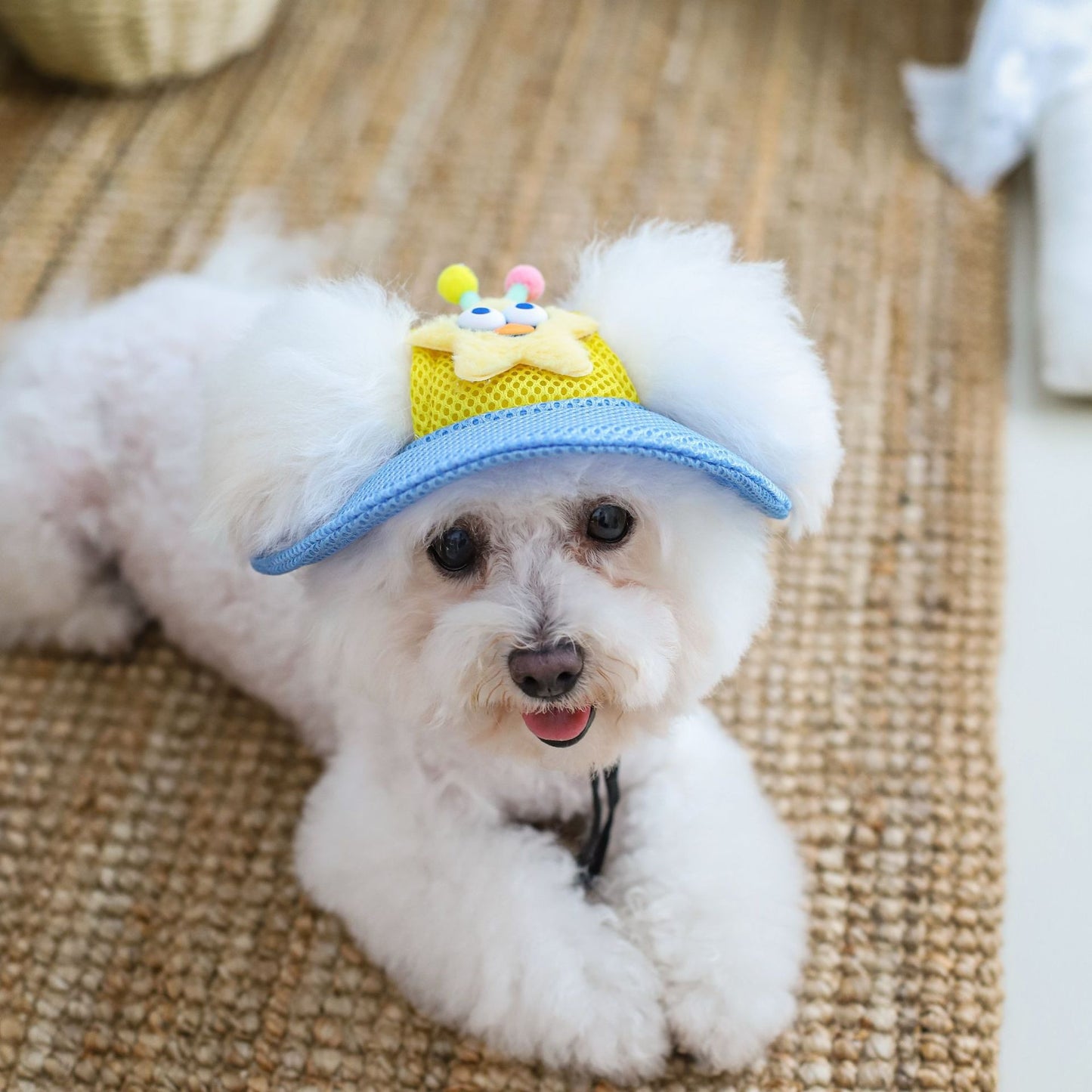 Cartoon Star Mesh Dog Hat