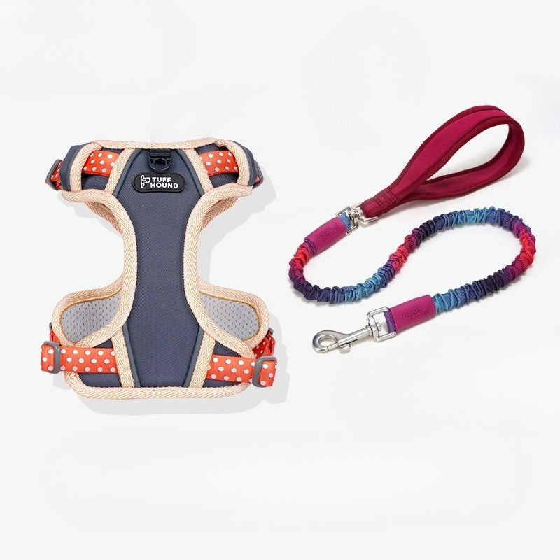 Reflective Mesh Harness & Leash Set