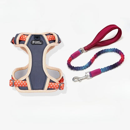 Reflective Mesh Harness & Leash Set