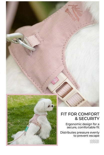 Lightweight Harness & Leash Set