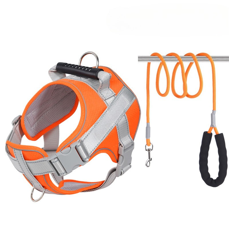 Reflective Harness & Leash Set