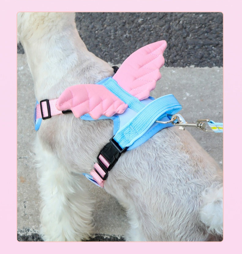 Angel & Devil Wing Harness & Leash Set