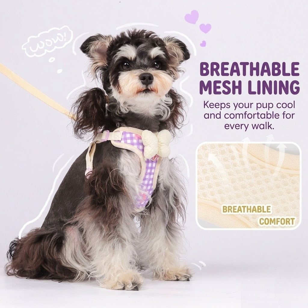 Plaid Bow Harness & Leash Set