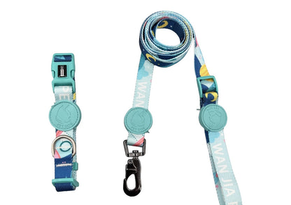 Patterned Accessory Set for Dogs – Multi-Color