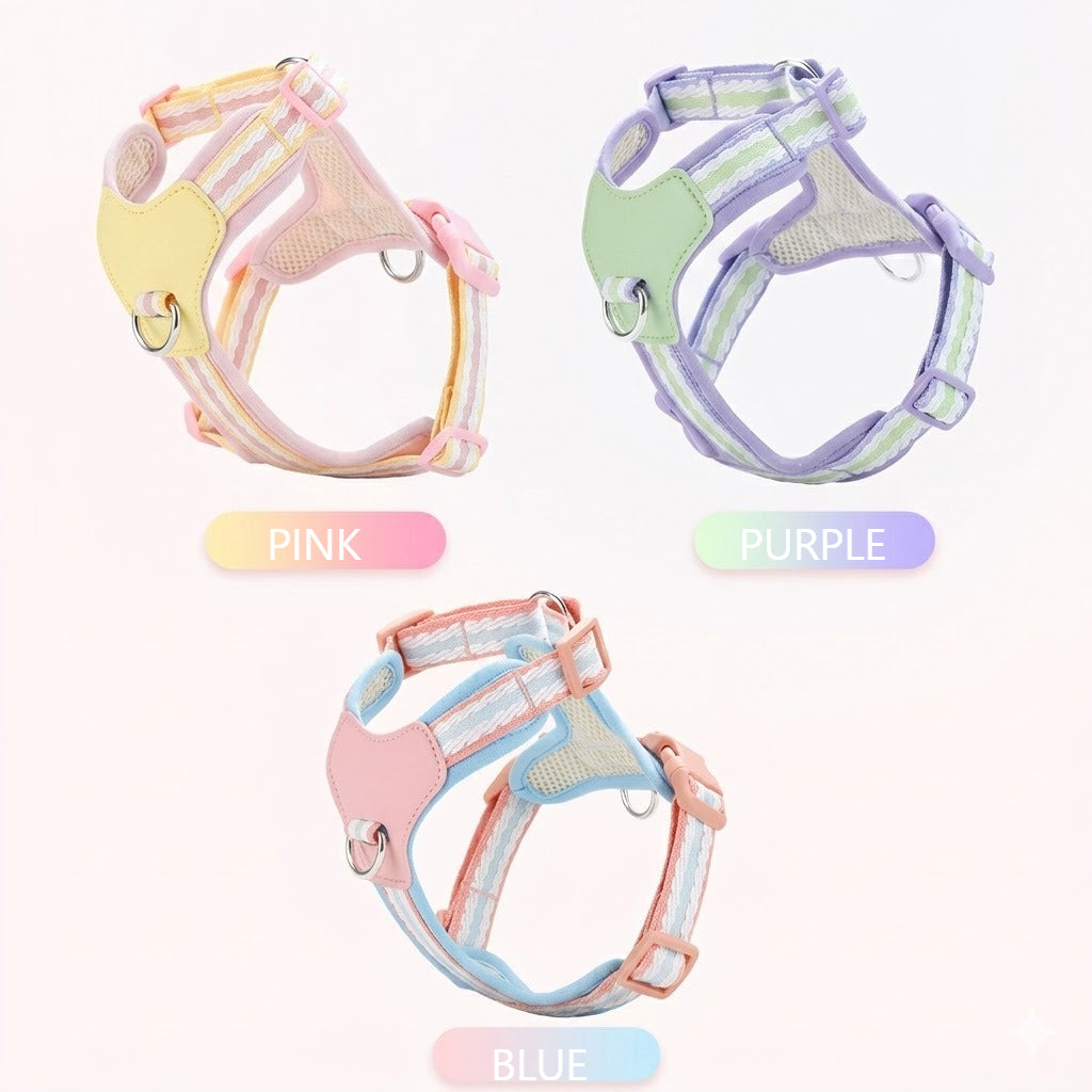 Breathable Y-Shape Harness & Leash Set