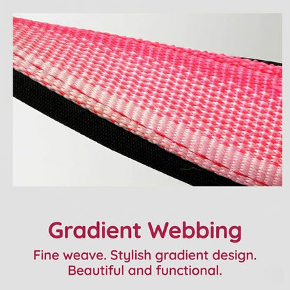 Gradient Harness & Leash Set
