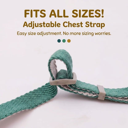 Lightweight Quick-Wear Harness & Leash Set