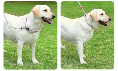 Integrated Training Dog Leash for Dogs – Purple