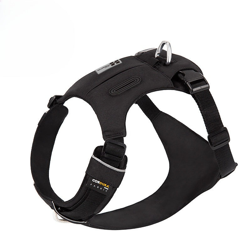 Hidden Pocket Harness & Leash Set