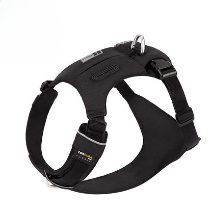 Hidden Pocket Harness & Leash Set