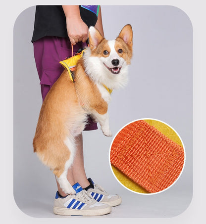 Reflective AirTag Dog Harness