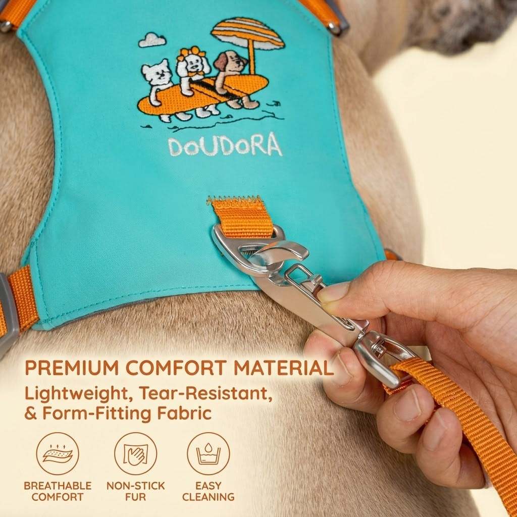 Embroidered Harness & Leash Set