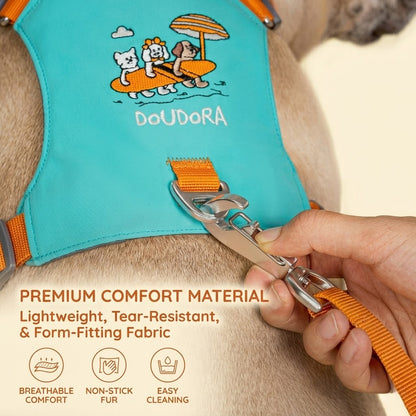 Embroidered Harness & Leash Set