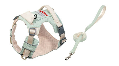 Plaid Harness & Leash Set