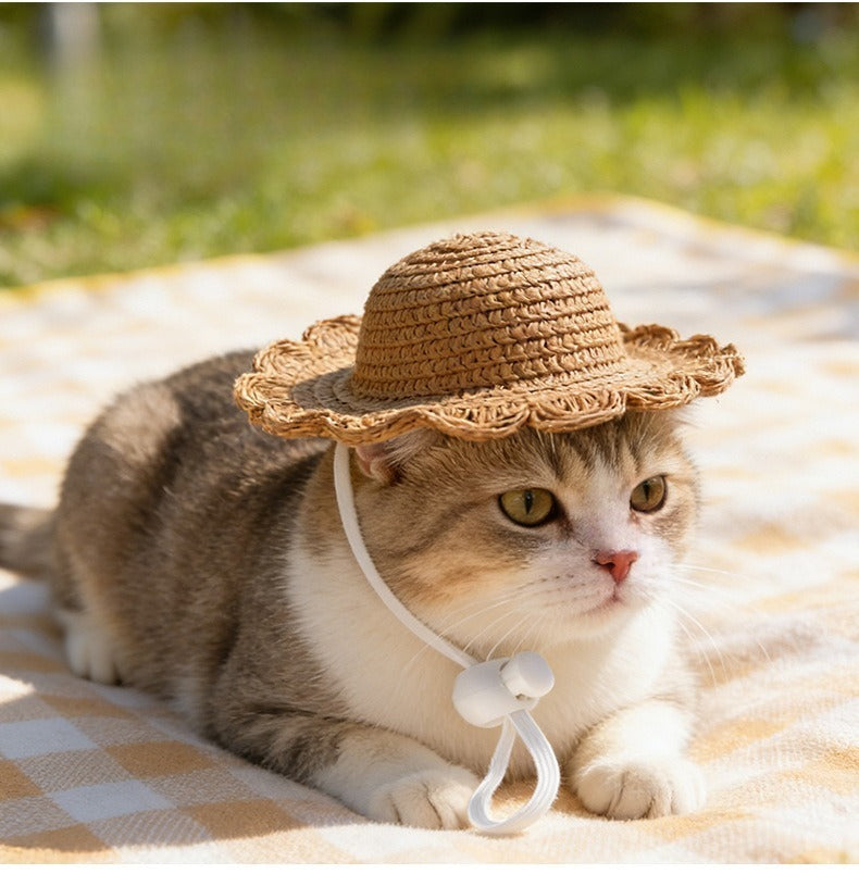 Woven Straw Dog Hat