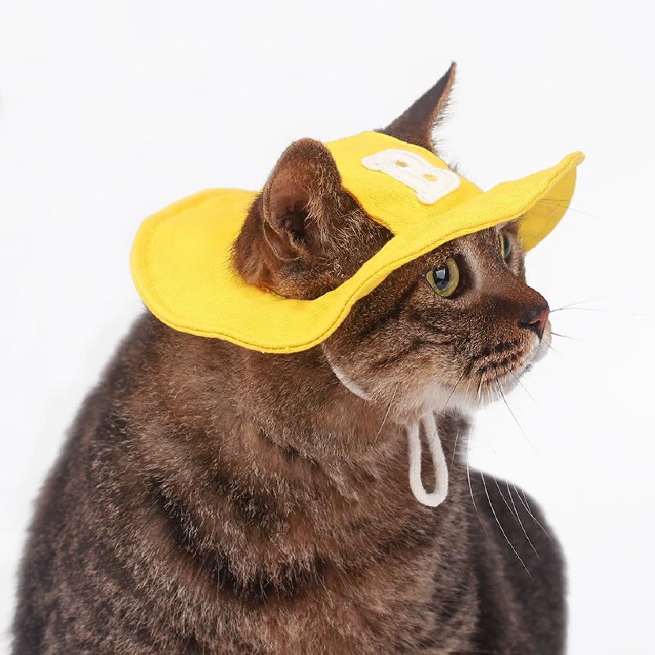 Embroidered Cotton Dog Hat