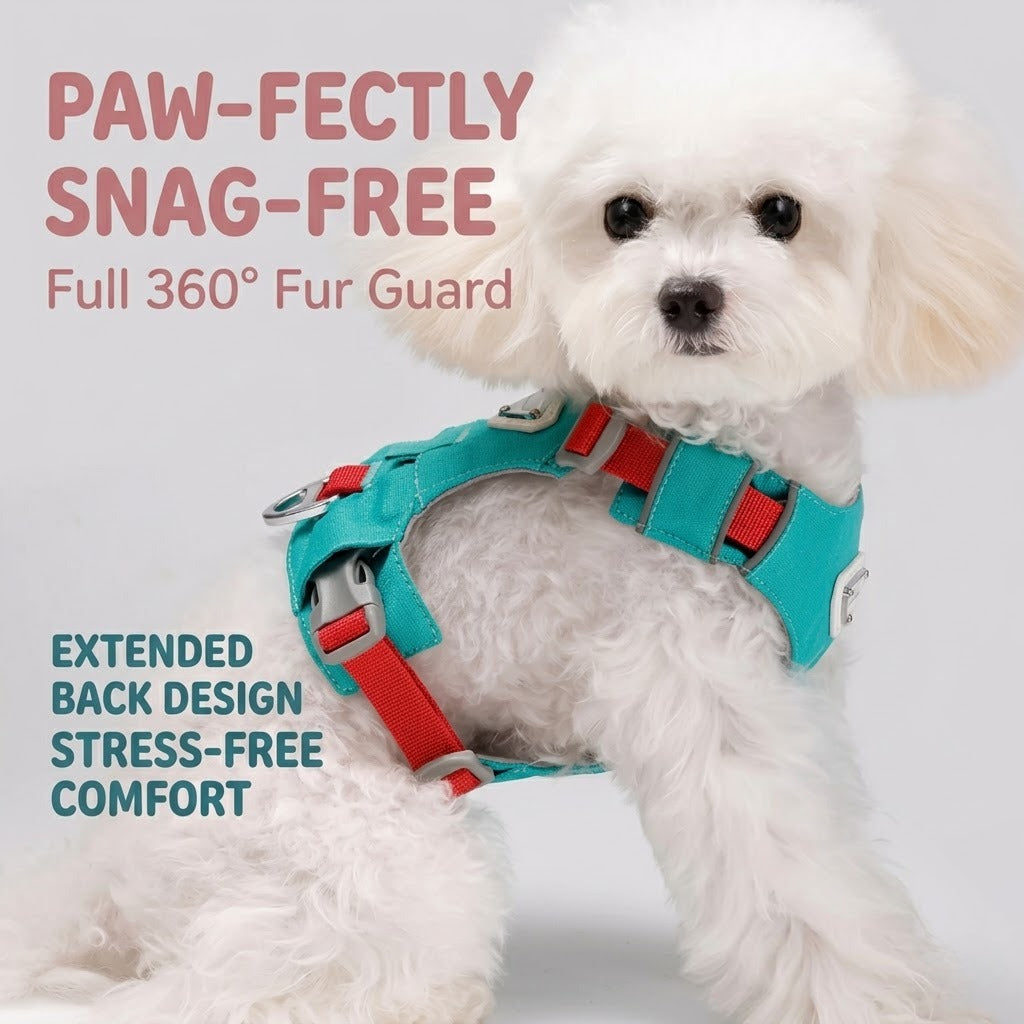 Lightweight Breathable Matching Dog Set