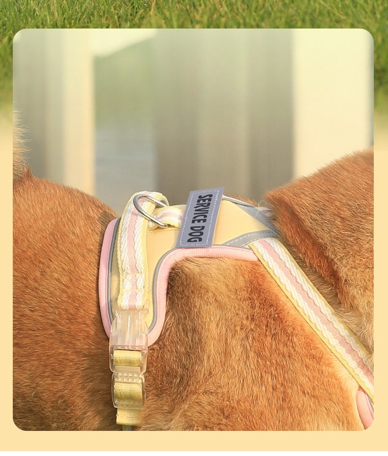 Breathable Mesh Harness & Leash Set
