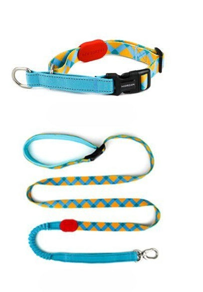 Patterned Hands-Free Dog Leash