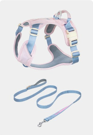 Pop Art Harness & Leash Set