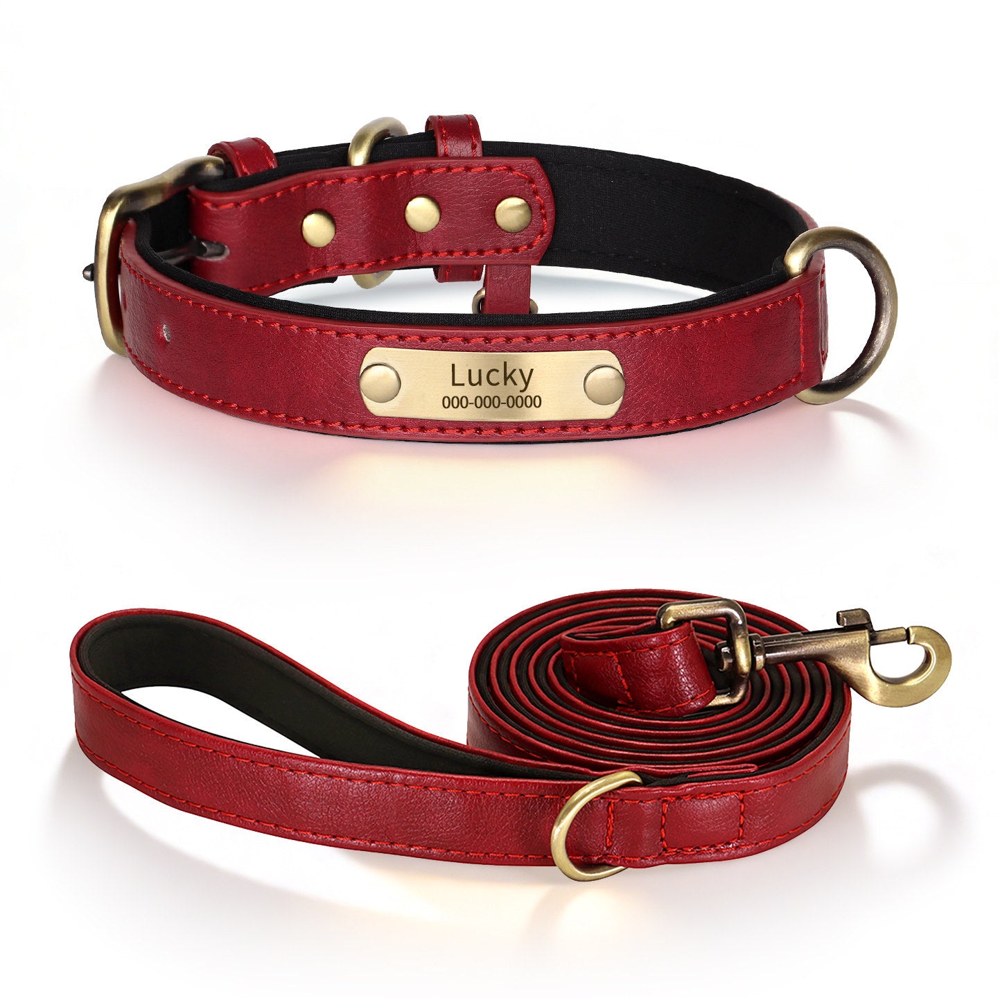 Personalized Dog Collar & Leash Set