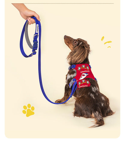 Embroidered Harness & Leash Set