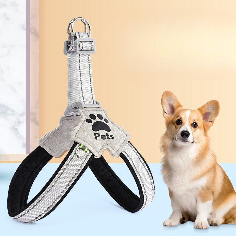 Reflective Mesh Dog Accessory Set for Dogs – Multi-Color