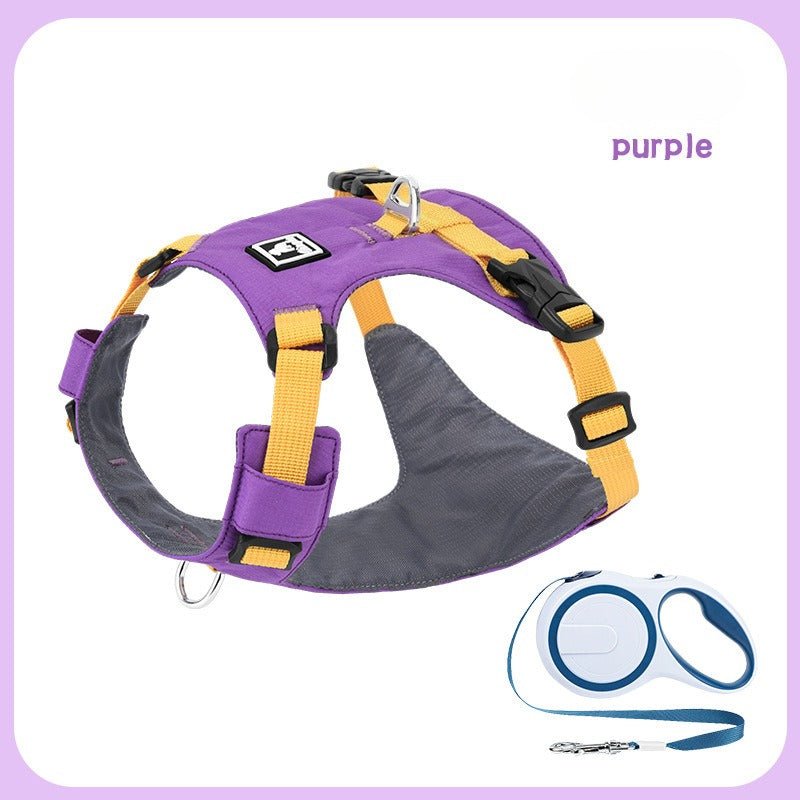 Lightweight Harness & Leash Set