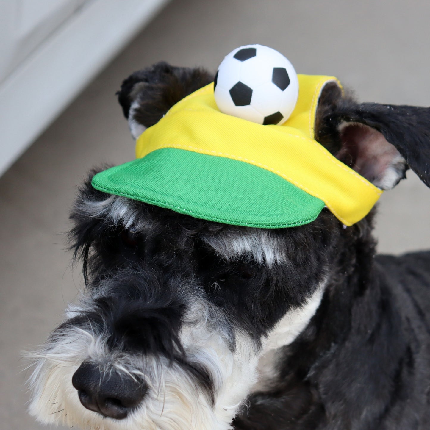 Soccer Fan Dog Hat