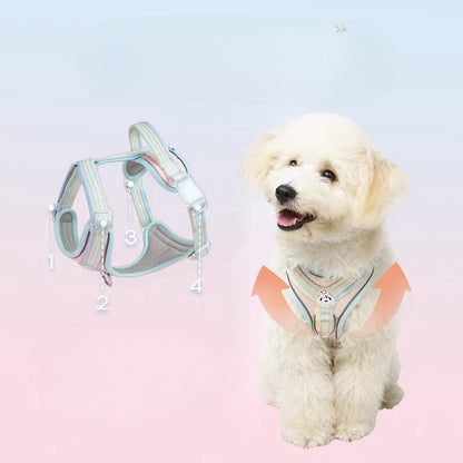Macaron Striped Dog Harness for Dogs – Multicolor