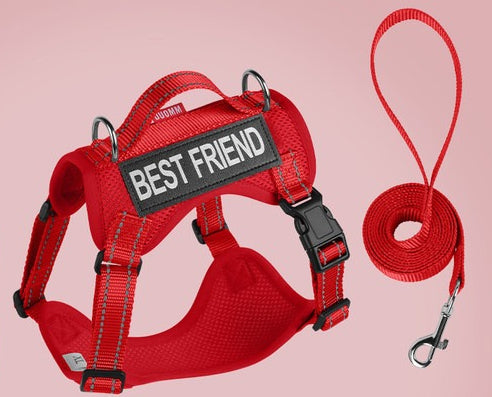 Reflective Mesh Harness & Leash Set
