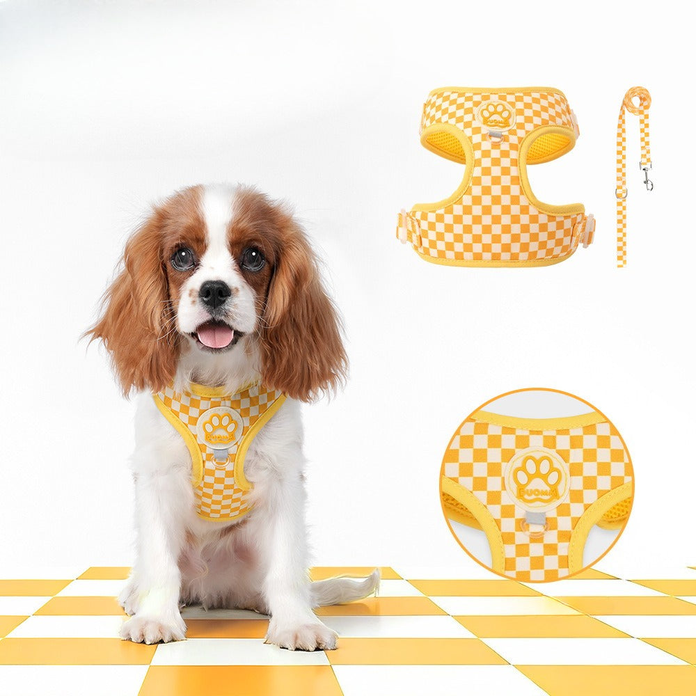 Checkerboard Harness & Leash Set
