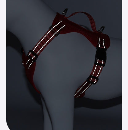 Reflective Mesh Harness & Leash Set